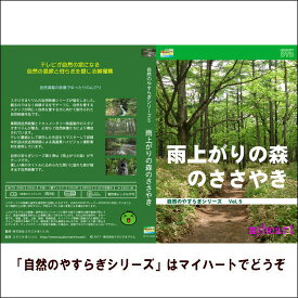 【宅配便配送】自然のやすらぎシリーズ5　雨上がりの森のささやき（DVD）