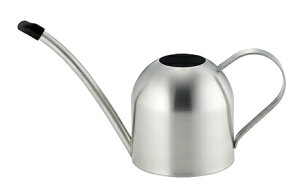 Ɓ@SALUSiZCXjh[ W[ S@4521540253849 傤@