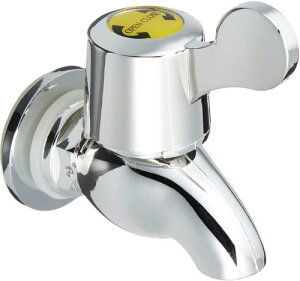 hNT[o[ 6Lp@֌ꎮ@SALUSiZCXjƁyCPz֗pi