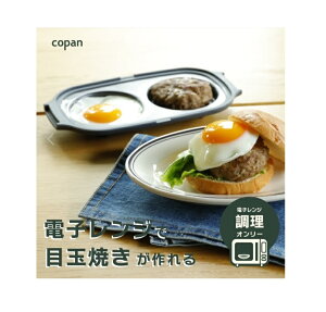 WO ڋʏĂ dqW Ă 2 Ă ^̃WO Z H   H@EH튣@Ή Vst V[r[Wp i CB JAP