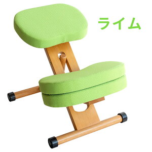 v|[V`FALbY W wK֎q p LwP  p  ׋  q [g  g110cm fXN`FA p [g[N e[N ItB