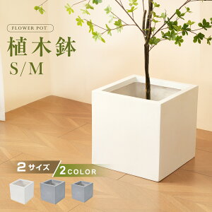 ySS45802290&20~5%N[|zAؔ  ^Aؔ y y  Op p ^ Jo[ OsO Xg A K[f v[g  k  R