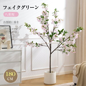 yz̑50%N[|pzydztFCNO[ ϗtA tFCN lHϗtA ^ h  ze CeA A  j    tBJX lC 