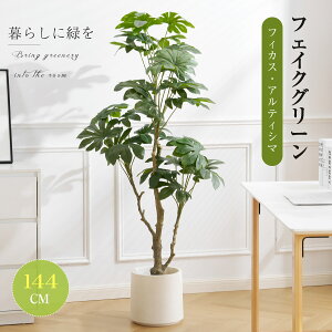 yz̑50%N[|pzytBJXAeBV}ztFCNO[ ϗtA tFCN lHϗtA ^ h  ze CeA A  j    t