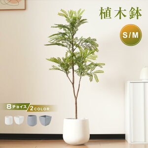 【限時販促★20%クーポン利用中】植木鉢 おしゃれ 大型植木鉢 軽い 軽量 鉢 屋外用 屋内用 方型 鉢カバー グランピング レストラン 植栽 ガーデン プレゼント 米 籾殻 環境にやさしい 送料無