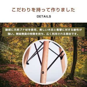 【人気新登場】イームズチェアイームズチャールズイームズDSWDSWタイプイームズシェルチェアイームズ椅子イームズ木脚イームズオフィスイームズダイニングチェアイームズサイドシェルチェアリプロダクトeameschair【同梱不可】(MS)