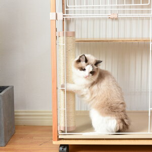 y{聚Si5%N[|!z܂Ƃ ܌ ߂݂ ܂݂ܖLpiybgpi