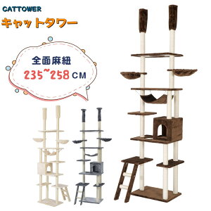 ySS聚ő2000~N[|!zylCēׁzLbg^[ nbNt cattower ˂ SʖR X ȃXy[X S235-258cm ܌ Ki ς L^[ Lbg