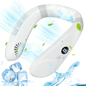 y2025Nė⊴Et@12z|@ pv[g uԗp lbNt@ lbNN[[ OiK HȂ 360TEh gѕ֗y 11ԘAғ tfBXvC M