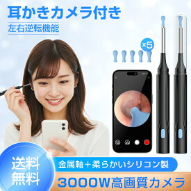 耳かき カメラ付き【高品質3000万画素】カメラ付き耳かき 6LEDライト 3.6mm極細レンズ 録画 写真 左右反転機能 IP67防水 WIFI接続 Type-C充電 耳掃除 耳垢除去 9点セット 子供 耳掃除 大人 お年寄り iOS Android対応 日本語説明書 TELEC