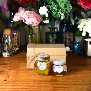 }Cnj[ MYHONEY AJVAnj[Li200gj + }kJnj[uhi90gjyMGO30+z / i`Ntg{bNX(M) + R{ + 񂰑 AJVA݂͂ ݂͂ M͂