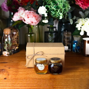 }Cnj[ MYHONEY AJVAnj[Mi90gj + nj[VRMi90gj / i`Ntg{bNX(M) + R{ + 񂰑 AJVA݂͂ ݂͂ M݂͂ ݂͂ AJVA