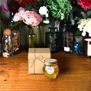 yH̑蕨1000~OFFN[|sz}Cnj[ MYHONEY AJVAnj[Li200gj / i`Ntg{bNX(S) + R{ + 񂰑 AJVA݂͂ ݂͂ M͂