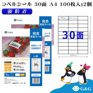 G&G xV[ A4 200 30 70mm 29.7mm S  Hix