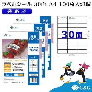 G&G xV[ A4 300 30 70mm 29.7mm S  Hix