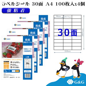 G&G xV[ A4 400 30 70mm 29.7mm S  Hix