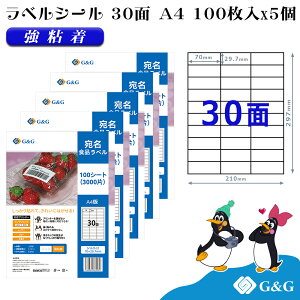 G&G xV[ A4 500 30 70mm 29.7mm S  Hix