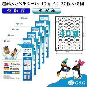 G&G xV[ ϐ  A4 100 40 (ȉ~) 41mm 22mm CNWFbg S h \ pbP[Wx [