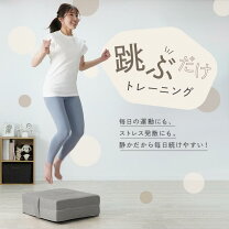 楽天市場】クッションカバー 50×50（トランポリン｜スポーツ器具 