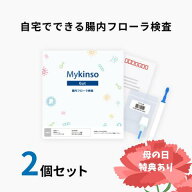 母の日ギフト「マイキンソー」2個 特別ギフトBOX ポストカード付き 腸内フローラ検査「マイキンソー（Myk…
