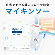 腸内フローラ検査「マイキンソー（Mykinso）」　自宅でできる 健康チェック エクオール産生菌 腸内細菌 …