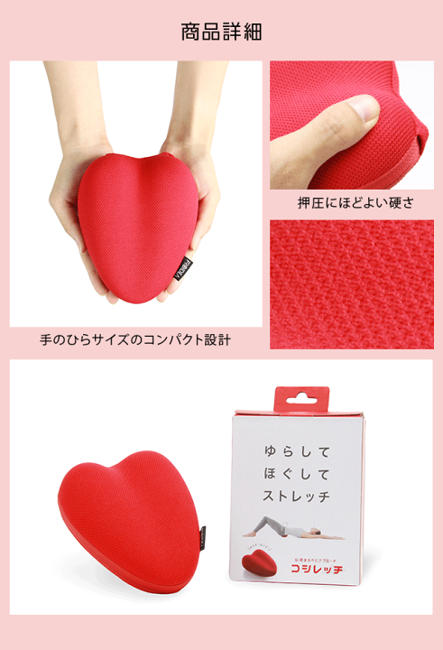 ◾️貴重品◾️骨盤矯正で腰痛改善のプロへ！誰でもできる4つの手技と鑑別検査法の全て 希少品】骨盤矯正で腰痛改善のプロへ！誰でもできる4つの手技