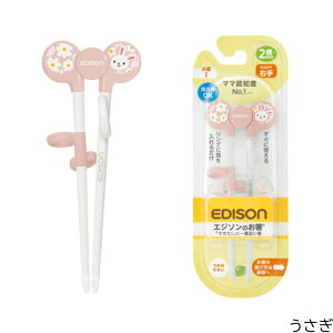 yz EDISON [GW\] [EpEp] GW\̂I ǂԂ y[J[ [2΂`AwO]   g[jO GW\ Kp K o锢