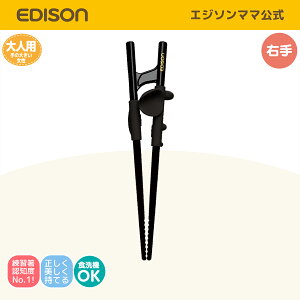 mƋJI yz EDISON [GW\] XgXebv lp ݂p  g[jO GW\ Kp K o锢  ͂lp͂ Jg