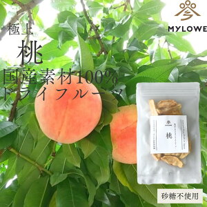 hCt[c    Mtg v[g hCt[cZbg Y F  sgp ۑsgp mtC mIC Yʕ e N `bNt h 