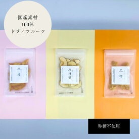 お中元 暑中見舞い ドライフルーツセット りんご 柿 桃 ギフト プレゼント ドライフルーツセット ドライフルーツギフト 送料無料 無添加 無着色 無香料 砂糖不使用 保存料不使用 ノンフライ ノンオイル 国産果物 美容 健康 チャック付き 防災 体に優しい ご褒美スイーツ