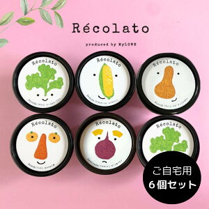  WF[g 6Zbg Y ᓜ Z ACXN[ mylowe Recolato w NX}X Ε a v[g  ǂ  XC[c ̂ɗD p j o