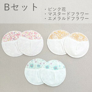  pbh  100 z ɂ₳ SES pbh Rbg  z 100 炩 TT z  K[[  z }}pbg  2