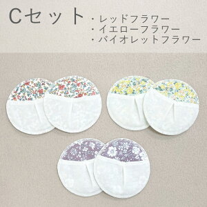  pbh  100 z ɂ₳ SES pbh Rbg  z 100 炩 TT z  K[[  z }}pbg  2