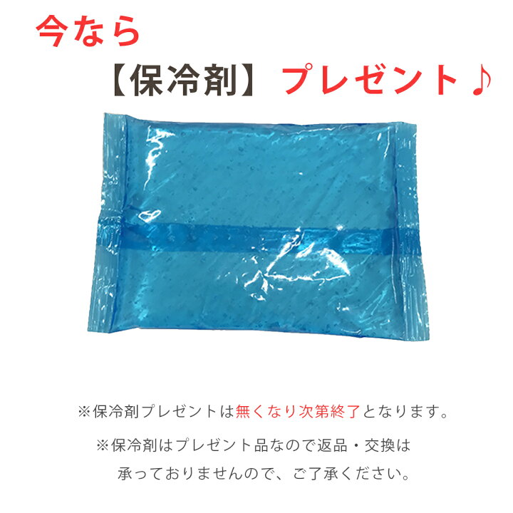 楽天市場 保冷シート 保冷リュック ベビー 夏 保冷まくら 抱っこ紐 ひんやり 暑さ対策 赤ちゃん 抱っこひも ベビーカー 赤ちゃん チャイルドシート 保冷枕 おしゃれ 熱中症対策 撥水加工 保冷剤付き Clivia