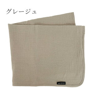 xr[uPbg 55×65cm xr[J[ K[[Pbg xr[ xr[J[ 4dK[[ Pbg `ChV[g 100 ^IPbg ۈ牀 xr[Pbg uPbg RpNg I[V[