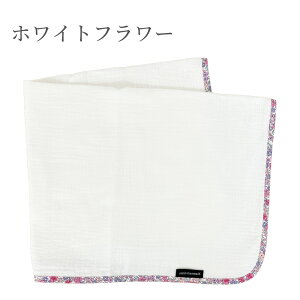 xr[uPbg 55×65cm xr[J[ K[[Pbg xr[ xr[J[ 4dK[[ Pbg `ChV[g 100 ^IPbg ۈ牀 xr[Pbg uPbg RpNg I[V[