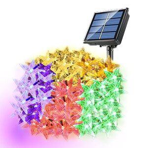 C~l[VCg led \[[Cg _ ZT[ z [d    O I[ig        K[f  EbhfbL tFX d 