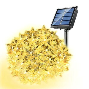 C~l[VCg led \[[Cg _ ZT[ z [d    O I[ig        K[f  EbhfbL tFX d 