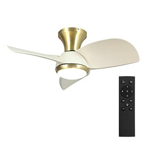 V[Ot@Cg Ɩ t@ ^3H LED`bv 3u[hX^C DC[^[ VƖ Ɩ ȃGl 3H  Rt EF  (uE)