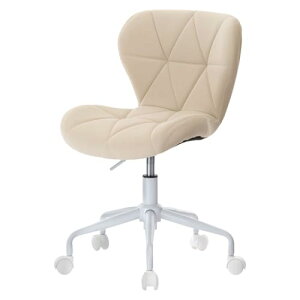 fXN`FA  `FA IȂ ֎q ] LX^[t ItBX`FA r RpNg  ~ ω׏d100kg tFCNU[ L