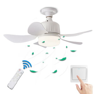 Rtdt@ACg\PbgV[Ot@ - RtdV[Ot@,3̃Cg[hdt@ArO[͋̕CCǧ