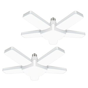 K[WCg 80W y_gCg V[OCg4 px߉\ ȃGl ԏ q WȂǂɑΉ Ɠ ܂肽