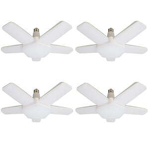 K[WCg 80W y_gCg V[OCg4 px߉\ ȃGl ԏ q WȂǂɑΉ Ɠ ܂肽