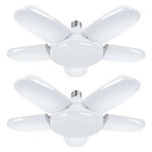 K[WCg V[OCg LEDCg 100W 2 10000lm y_gCg LEDd 6500K VƖ Ɩ tȒP Hsv px߉\ Ԍ q [ Ɠ F