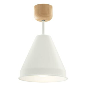 ڂƋ V[OCg k X`[ 1 LED VƖ Ɩ E26 _CjOƖ Hp Lb`JE^[ gC  O[