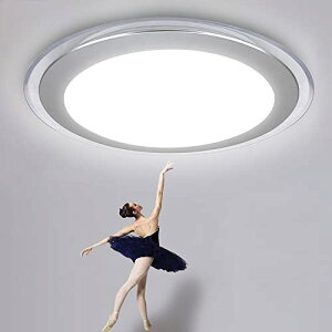 シーリングライト-8畳 薄型 小型 コンパクト 天井照明 昼光色 22W 照明器具 寝室 廊下 玄関 和室 洋室 キッチン 部屋 現時代風 北ヨーロッパスタイル 簡単取付 省エネ