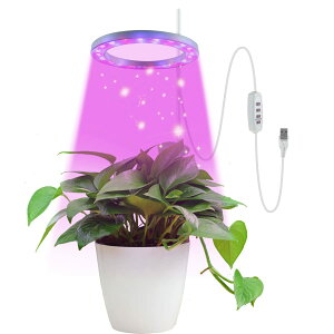 Cg led USB ACg ͔| Cg ledCg |[t k͔| 琬 pCg ƕs Ai ƒ؉ ؍H A琬