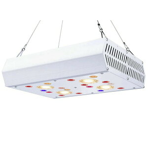 Cg UVIR܂ރtXyNgACg`bv A琬pledCgϗtACgC؂ƉԂ̐k͔|Cg 2̃XCb` OޏƖ[h