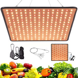 A琬Cg led A Cg 400W gFn tXyNg Apled pl ȃGl  k͔|v A琬 ƒ؉ | ؍H t