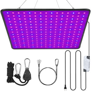 A琬Cg led 琬pCg 400W A ledv plCg k͔| 琬 pCg ƕs tXyNg ƒ؉ ؍H A琬 ϗtA t